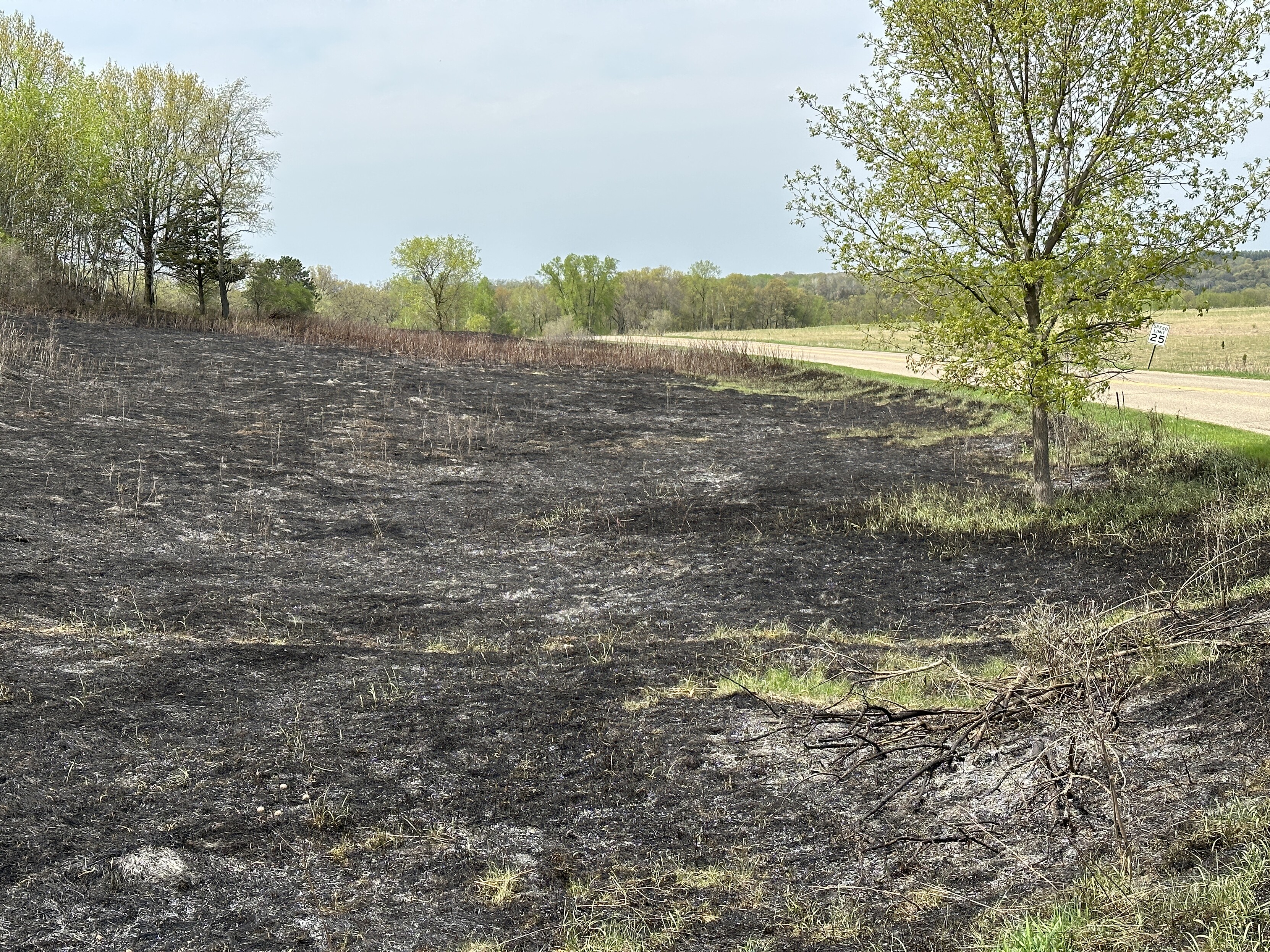 Burned out prairie section of Afton State Park in Minnesota
