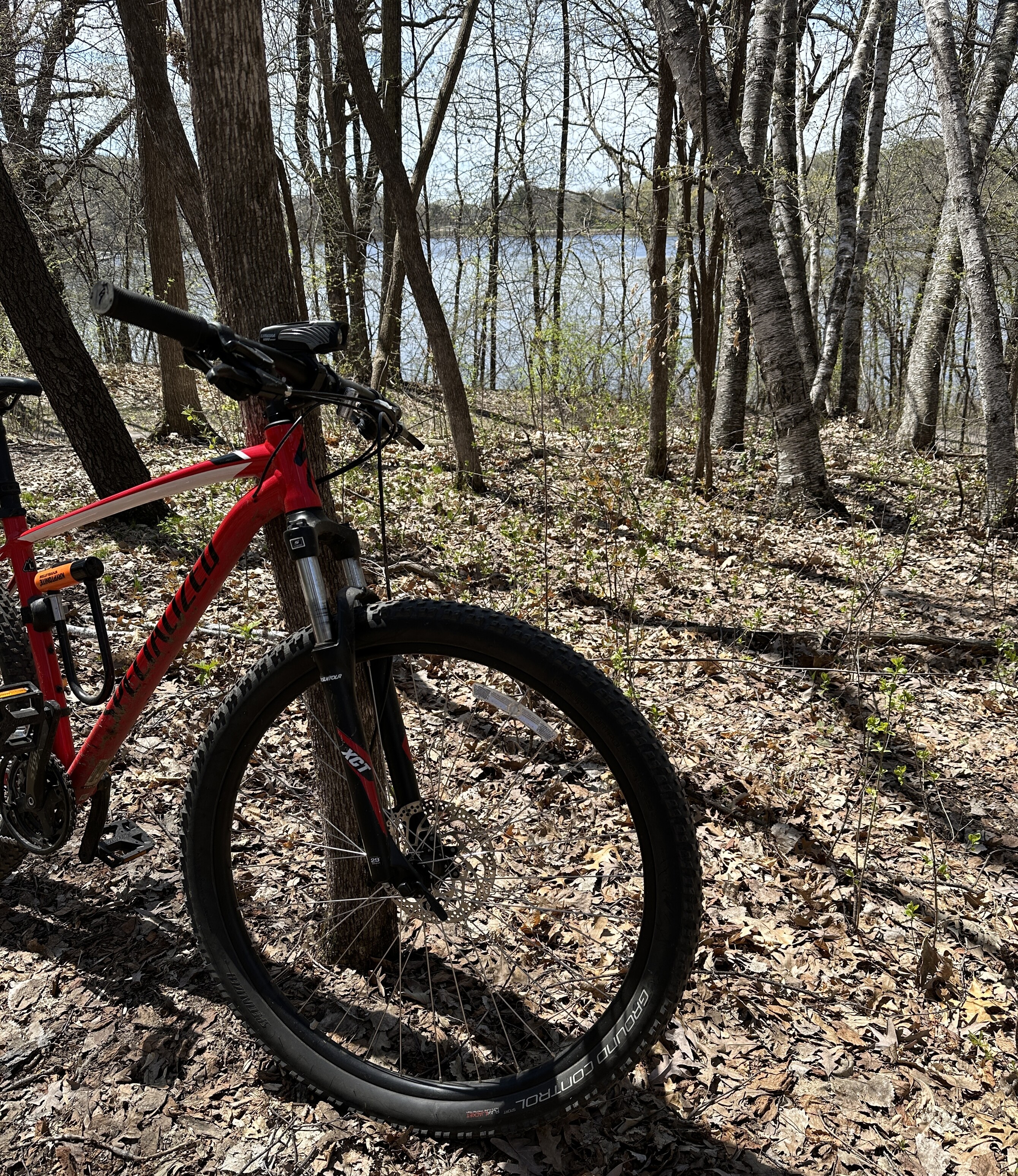 Red mountain bike leaning against a tree on the single track trail at Carver Lake (which can be viewed in the background)