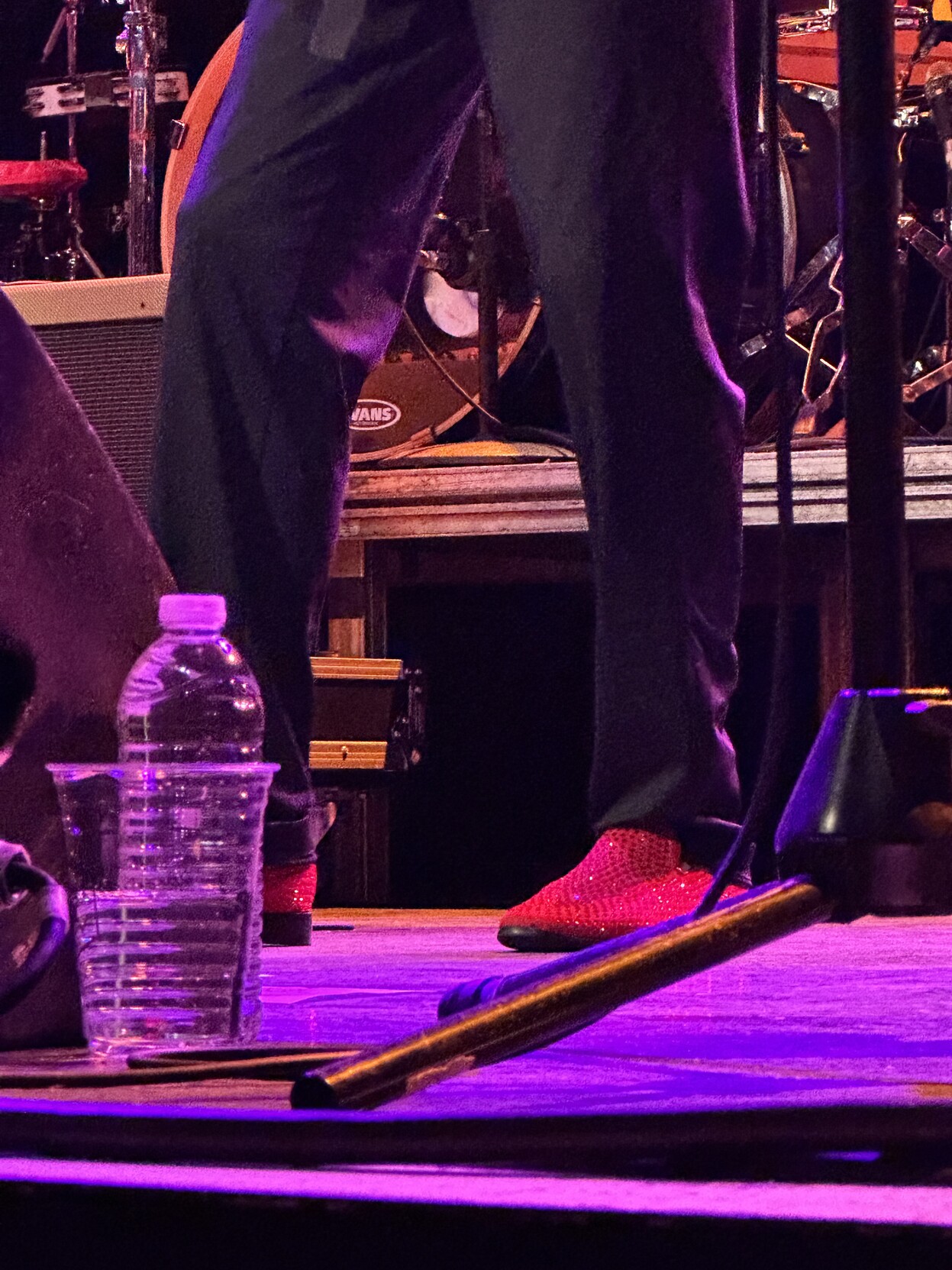 Adrian Belew’s fancy red sequined shoes
