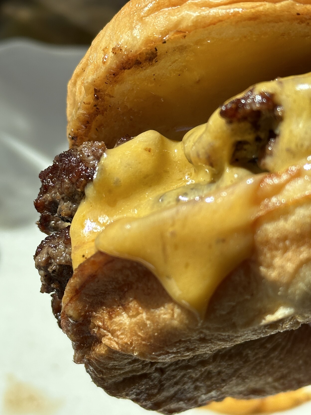 Closeup of the cheeseburger in sunlight with melted cheese dropping down the bun